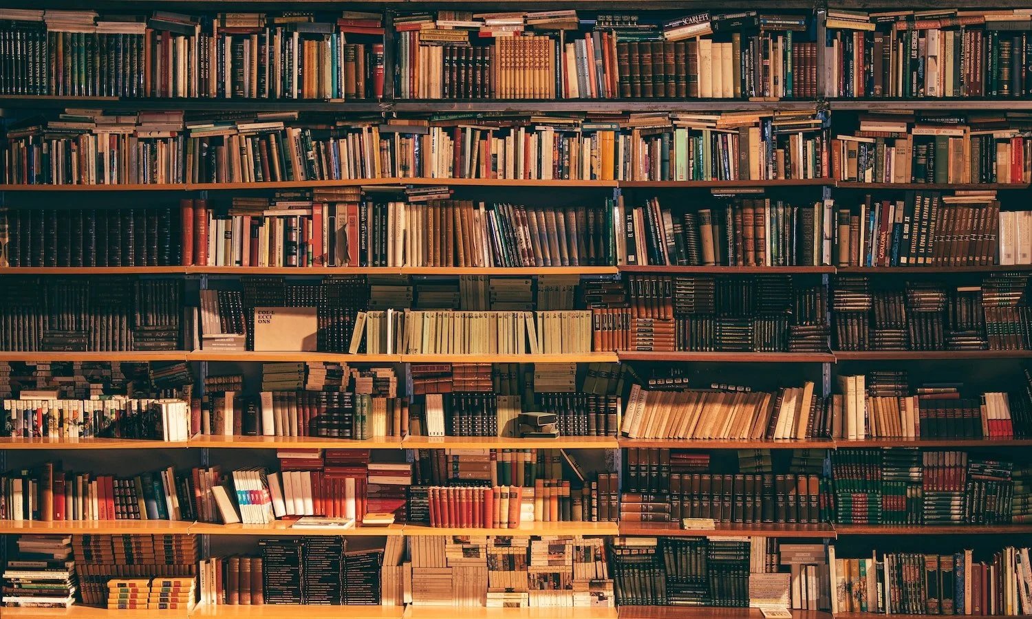 My 2021 Reading List