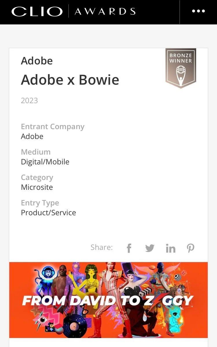Bronze, Digital/Mobile Microsite