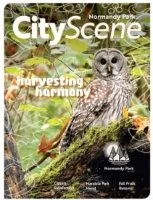 Normandy Park City Scene